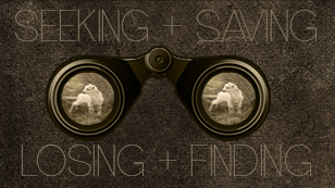 Seeking, Saving, Losing, Finding